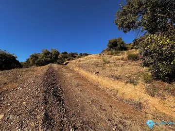 5000m2 Plot for Sale in Málaga-60990