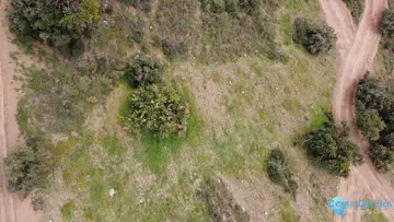 5000m2 Plot for Sale in Málaga-60996