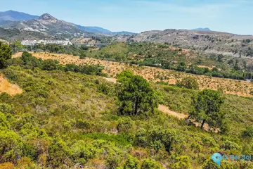 6360m2 Plot for Sale in Benahavís-61012