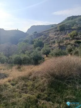 143502m2 Plot for Sale in Alora-61218