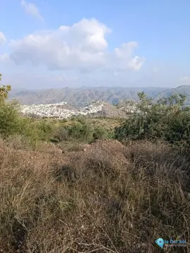 143502m2 Plot for Sale in Alora-61219