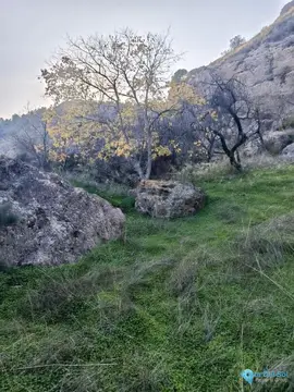 143502m2 Plot for Sale in Alora-61228