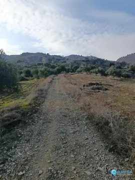 143502m2 Plot for Sale in Alora-61220