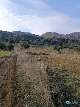 143502m2 Plot for Sale in Alora-61221