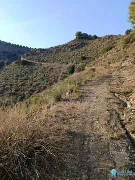 143502m2 Plot for Sale in Alora-61222