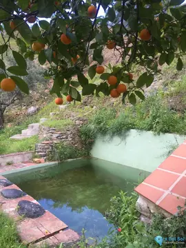 1 bedroom House for Sale in Guaro-61412