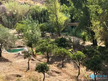 1 bedroom House for Sale in Guaro-61414