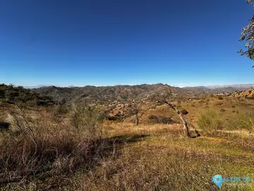 5000m2 Plot for Sale in Málaga-61484