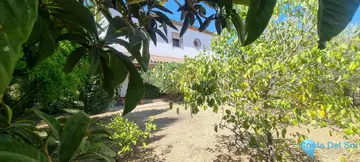 4 bedroom House for Sale in Cortes de la Frontera-61797