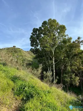 79400m2 Plot for Sale in Campanillas-61898