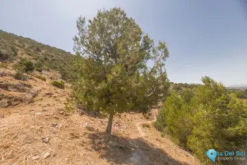 1100m2 Plot for Sale in Alhaurín de la Torre-62387