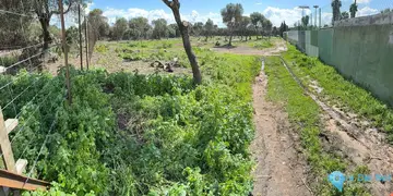 5360m2 Plot for Sale in Tarifa-62867