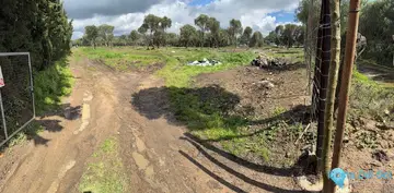 5360m2 Plot for Sale in Tarifa-62862