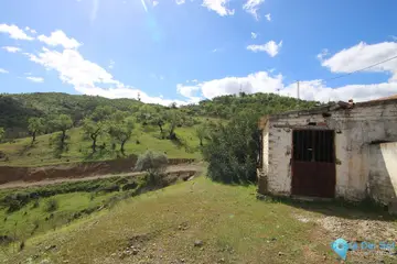 28410m2 Plot for Sale in Guaro-63151