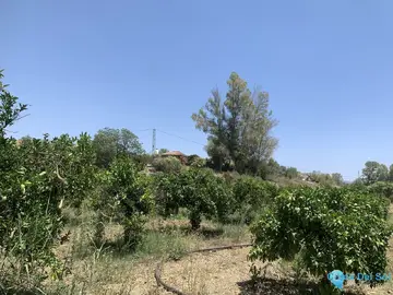 17855m2 Plot for Sale in Coín-63469