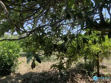 17855m2 Plot for Sale in Coín-63471