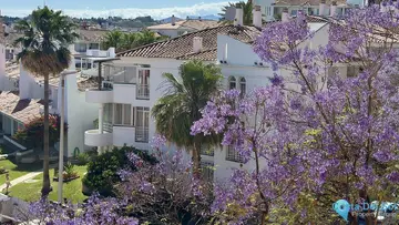 2 bedroom Apartment for Sale in Los Pacos-64392
