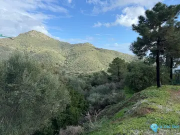2380m2 Plot for Sale in Benahavís-64491