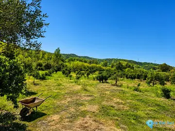 10258m2 Plot for Sale in San Martín de Tesorillo-65509