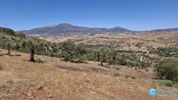 25000m2 Plot for Sale in Coín-66709
