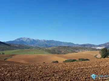 25000m2 Plot for Sale in Coín-66711