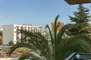 1 bedroom Apartment for Sale in Montemar-66720