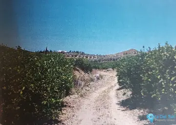 48624m2 Plot for Sale in Alora-66809