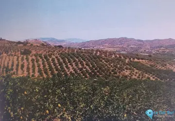 48624m2 Plot for Sale in Alora-66813