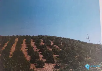 48624m2 Plot for Sale in Alora-66817