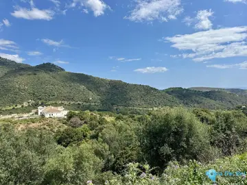 2996m2 Plot for Sale in Benahavís-67380