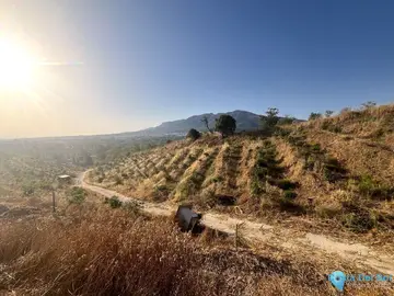 18206m2 Plot for Sale in Alhaurín el Grande