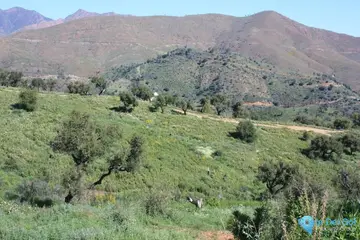 3470m2 Plot for Sale in La Mairena-69628