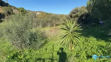 1080m2 Plot for Sale in Elviria-70466