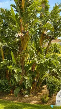2 bedroom Apartment for Sale in El Paraiso-70611