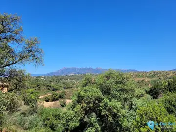 1250m2 Plot for Sale in Elviria-70721
