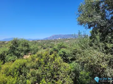 1250m2 Plot for Sale in Elviria-70722