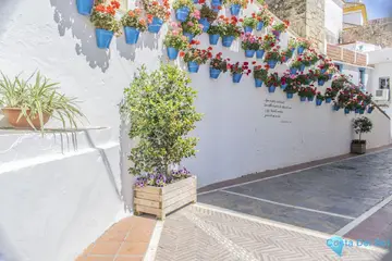 4 bedroom Apartment for Sale in Marbella-75572