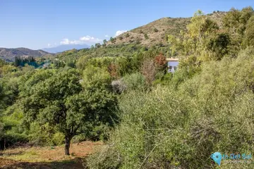 1042m2 Plot for Sale in Benahavís-77045