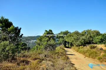 12373m2 Plot for Sale in Cartajima-98165