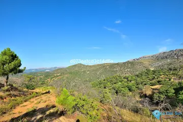 12373m2 Plot for Sale in Cartajima-98169
