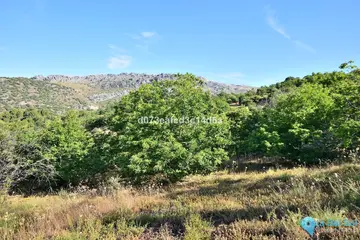 12373m2 Plot for Sale in Cartajima-98171