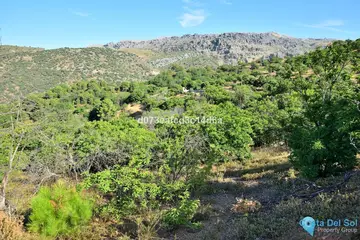 12373m2 Plot for Sale in Cartajima-98173