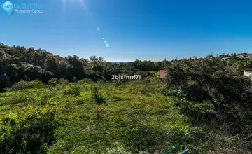 1620m2 Plot for Sale in Elviria-3772
